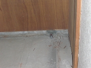 2008_1222_134412-CIMG2471.JPG